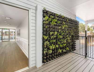 Wall of potted plants